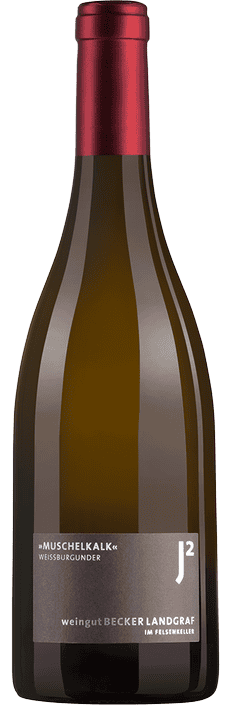 2020 Weissburgunder Muschelkalk trocken Rheinhessen Weingut Becker-Landgraf