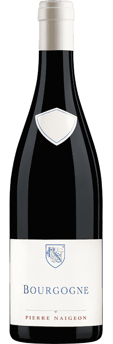 2021 Bourgogne Hautes-Côtes de Nuits AOC Domaine Les Astrelles