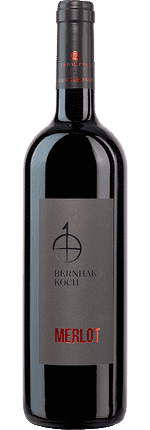 2023 Merlot Flemlinger Vogelsprung Bernhard Koch