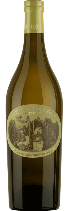 2023 Wiener Gemischter Satz DAC Bisamberg Weingut Wieninger (Biodynamisch)