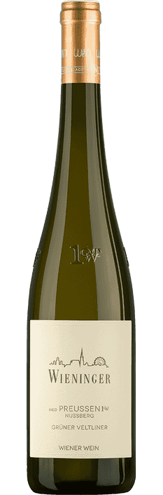 2023 Grüner Veltliner Nussberg Ried Preussen 1ÖTW Weingut Wieninger (Bio)