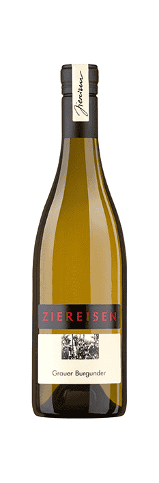 2022 Grauer Burgunder trocken Weingut Ziereisen