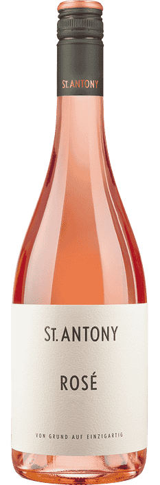 2024 Rosé VDP.Gutswein Weingut St. Antony (Bio)