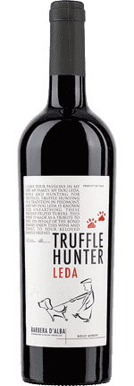 2024 Barbera d'Alba DOC Truffle Hunter Leda Bosio Family Estates