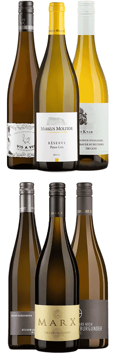 Tasting Box Grauburgunder DE