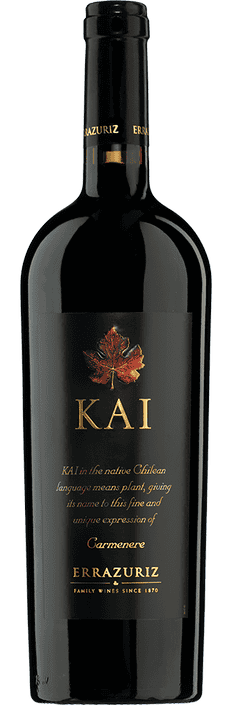 2015 Kai Carmenere Valle de Aconcagua DO Viña Errázuriz