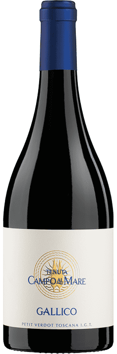 2019 Gallico Petit Verdot Toscana IGT Tenuta Campo al Mare Tenute Ambrogio & Giovanni Folonari