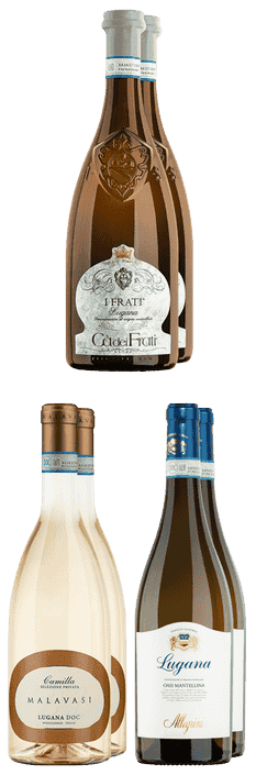 Tasting Box Lugana DE