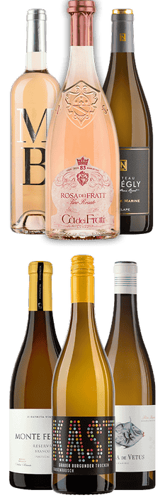 Tasting Box Sommerlaune
