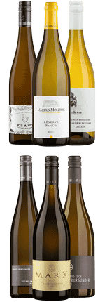Tasting Box Grauburgunder DE