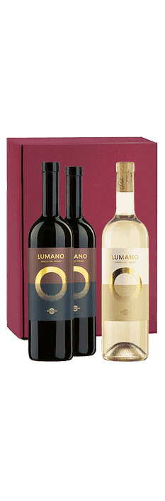 Elvio Set Alkoholfrei 1500