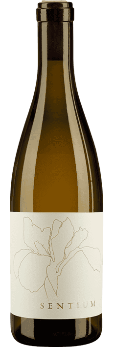 2022 Sentium Sauvignon Blanc Mendocino Sentium Wines