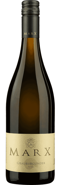 2024 Fossil Grauburgunder trocken Weingut Marx
