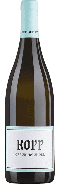 2022 Grauburgunder trocken Weingut Kopp (Bio)