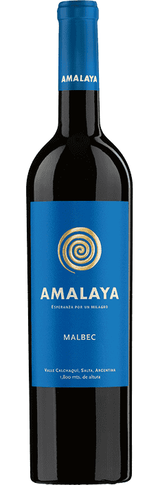 2023 Malbec Amalaya Valle Calchaquí Bodega Amalaya