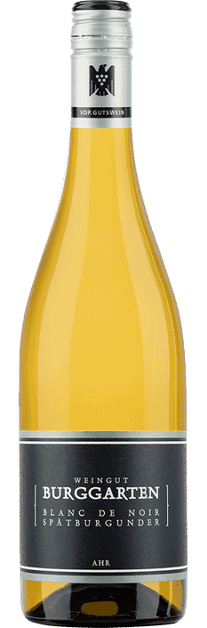 2025 Spätburgunder Blanc de Noir VDP.Gutswein Ahr Weingut Burggarten