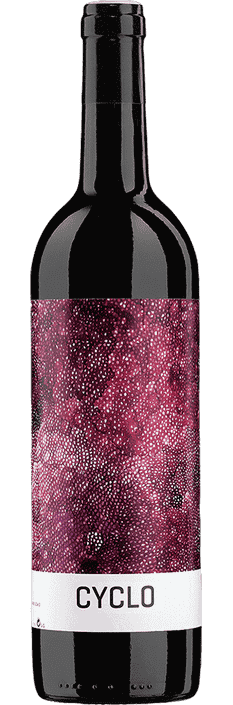 2021 Cyclo Ribera del Duero DO Finca Torremilanos Bodegas Peñalba Lopez (Biodynamisch)