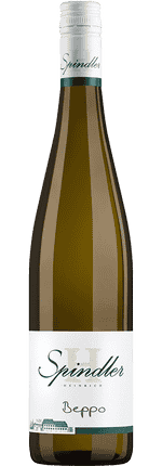 2022 Riesling Beppo trocken Pfalz Weingut Heinrich Spindler (Bio)