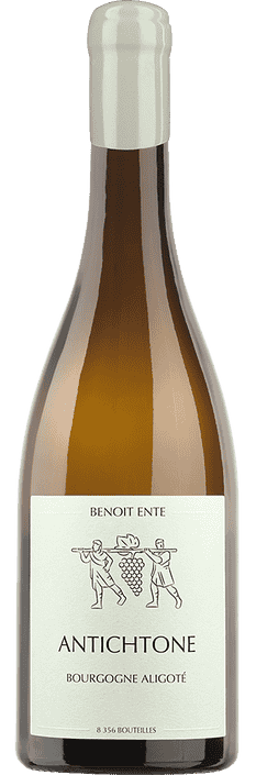 2023 Bourgogne Aligoté AOC Antichtone Benoît Ente