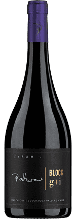 2021 Syrah Block G+I Marchigue Valle de Colchagua Viña Polkura