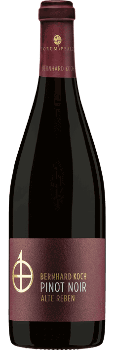 2022 Pinot Noir Réserve Alte Reben Pfalz Weingut Bernhard Koch