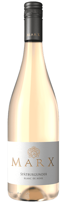 2024 Spätburgunder Blanc de Noir trocken Weingut Marx