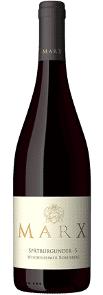 2022 Spätburgunder S trocken Windesheimer Rosenberg Weingut Marx