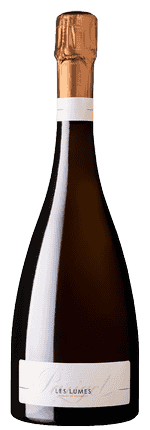 2022 Les Lumes Crémant de Bourgogne AOC Extra Brut Parigot & Richard