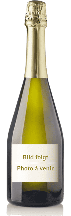 Champagne Brut Nature Champs Rayés Piollot