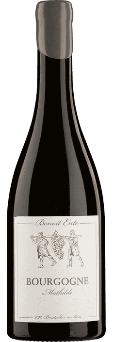 2021 Bourgogne AOC Mathilde Benoît Ente