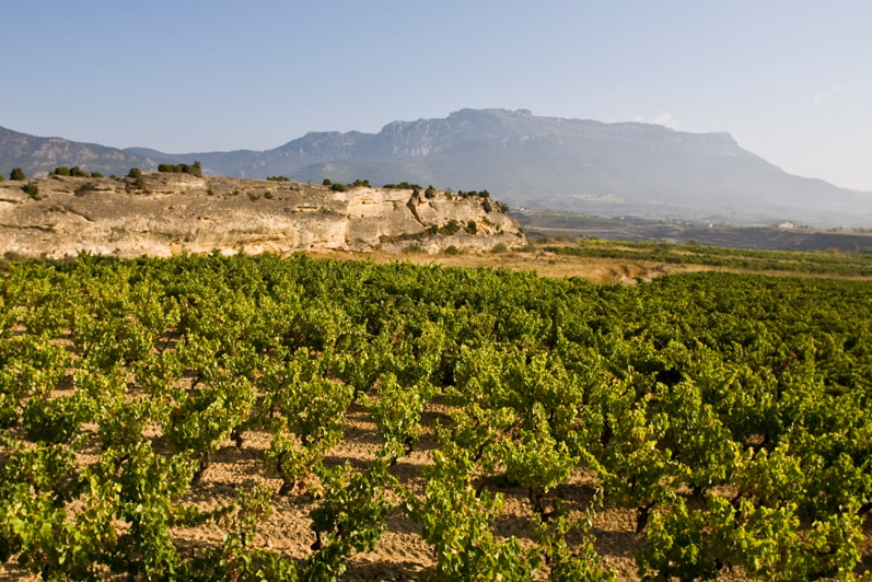 Sabores del Norte – Rioja und Galicien – Aromen von kraftvoll bis frisch