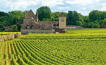 Burgund – Eine Reise durch die großen Terroirs
