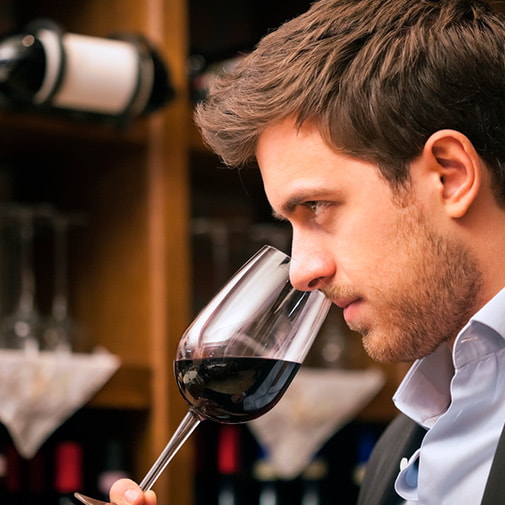 Pinot Noir – König der Rotweine 