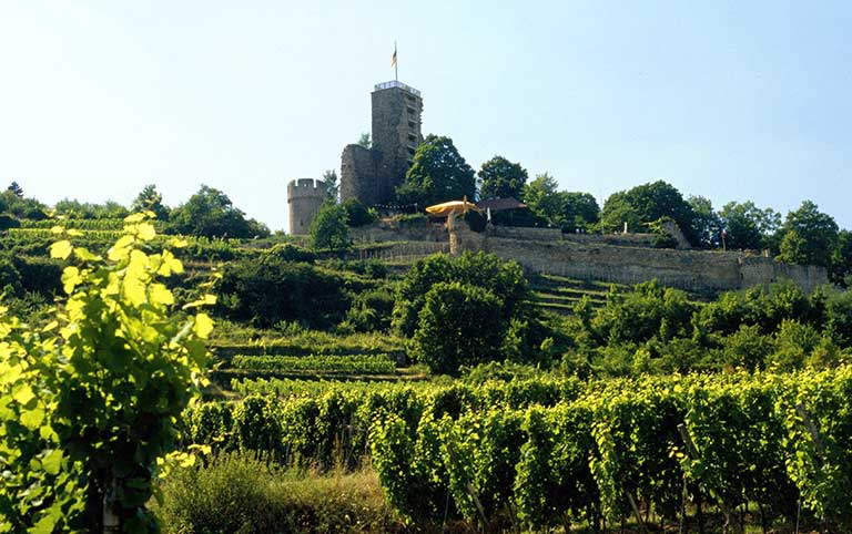 Exklusive Verkostung mit dem Weingut Karsten Peter