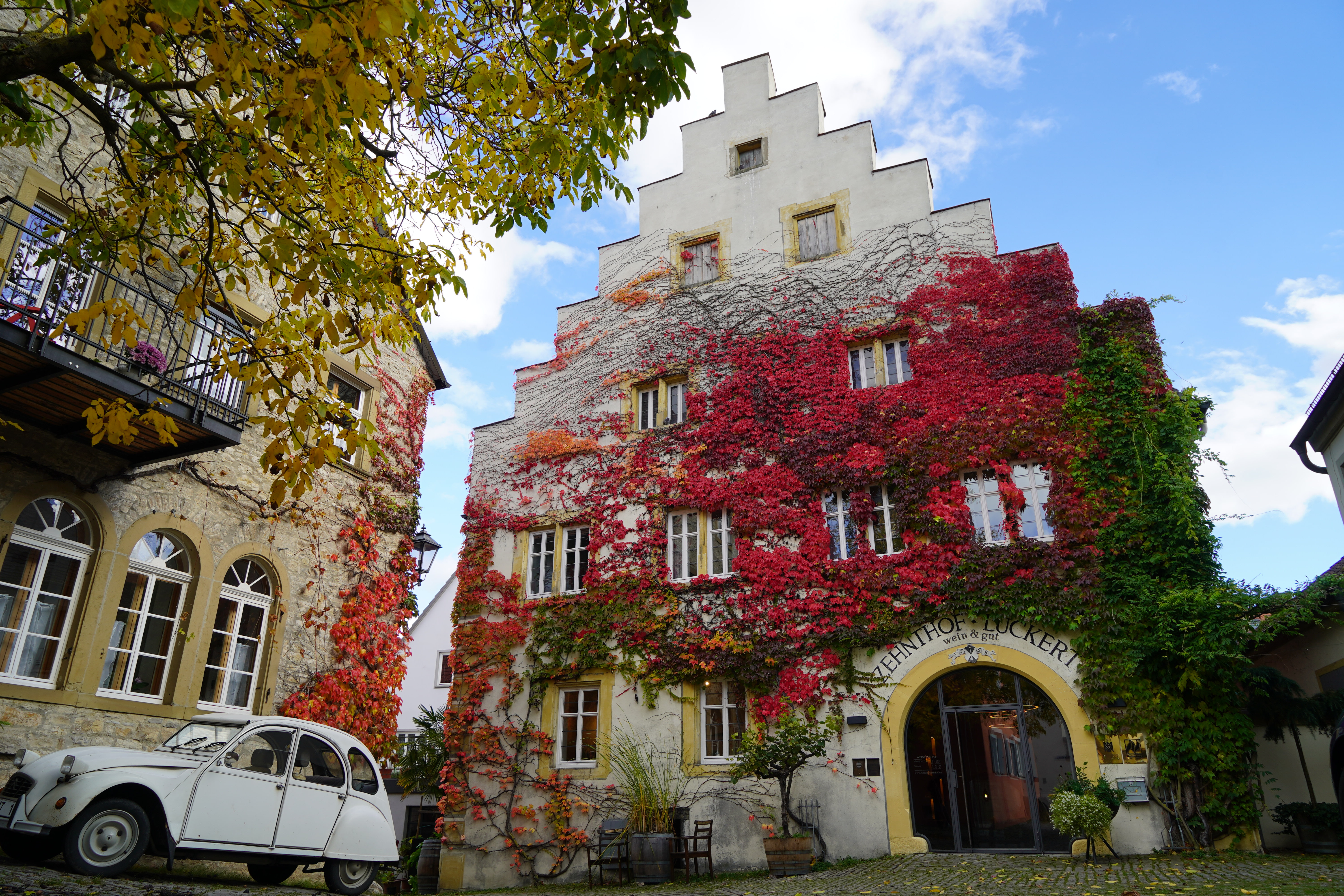 Das Weingut Zehnthof Luckert zu Gast in Frankfurt  