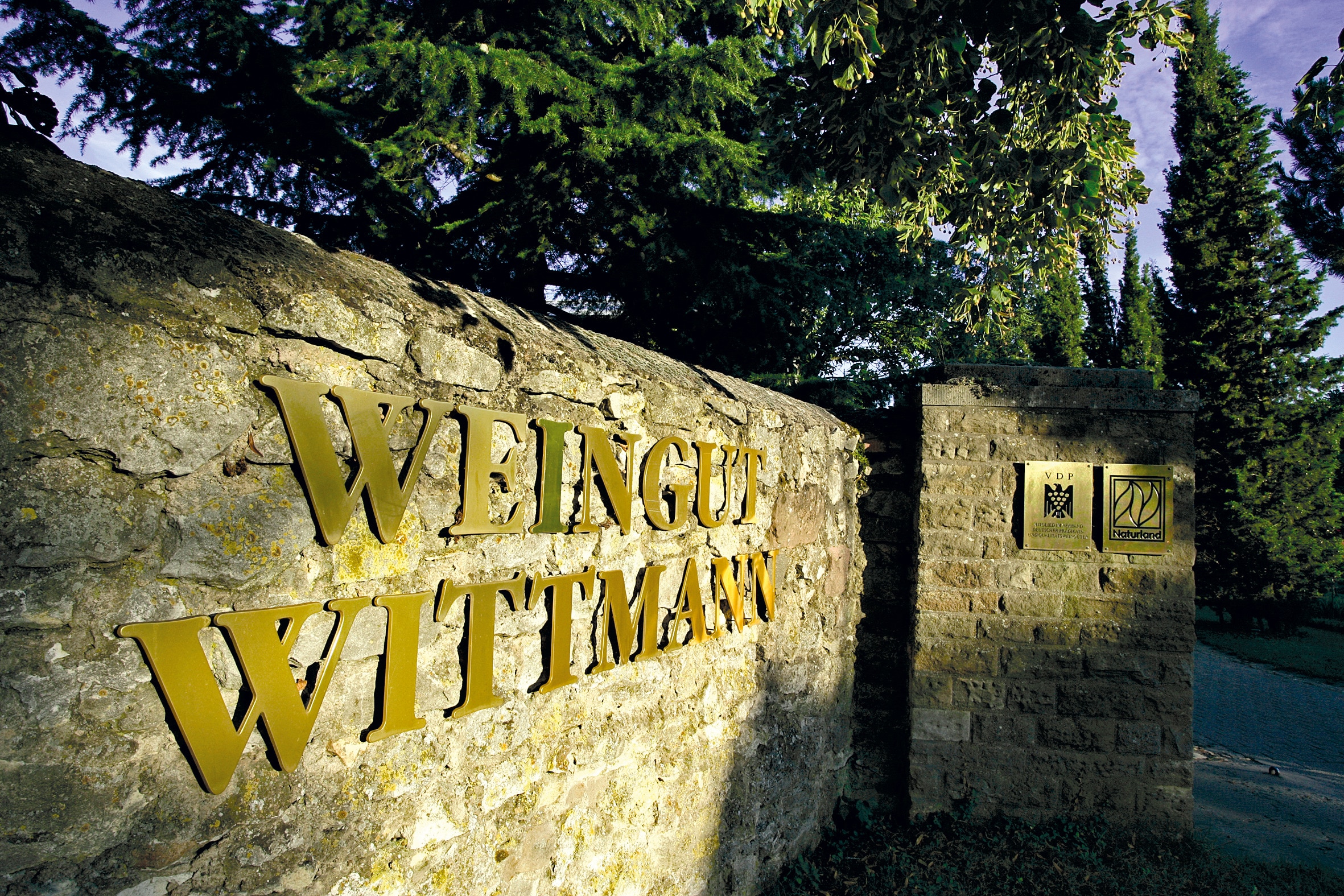 Zwei Tage, ein Weingut: Wittmann bei uns zu Gast