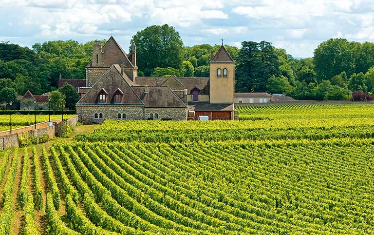 Reisen Sie mit uns durch das Burgund