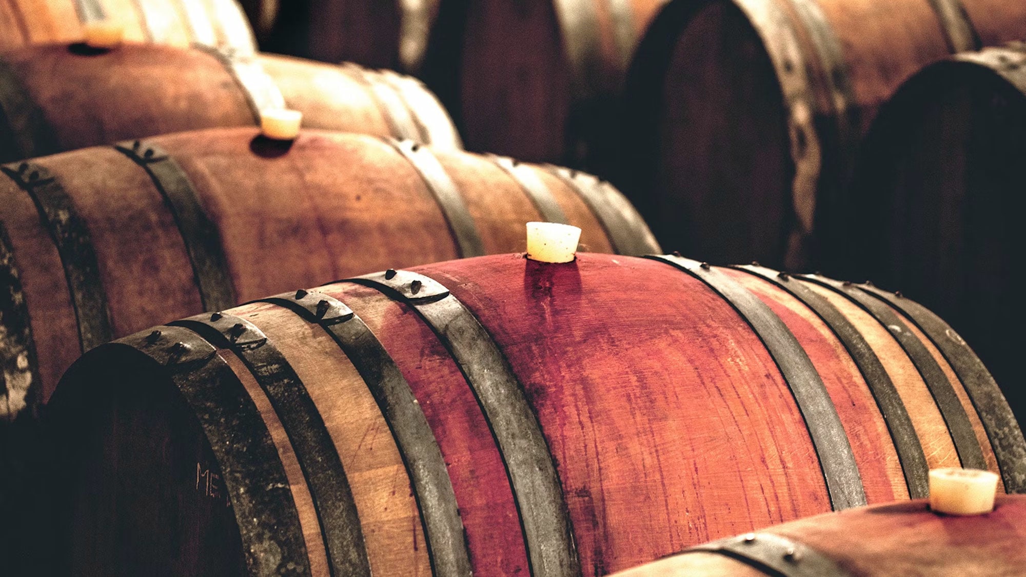 Wein, Begriffe, Fachwissen