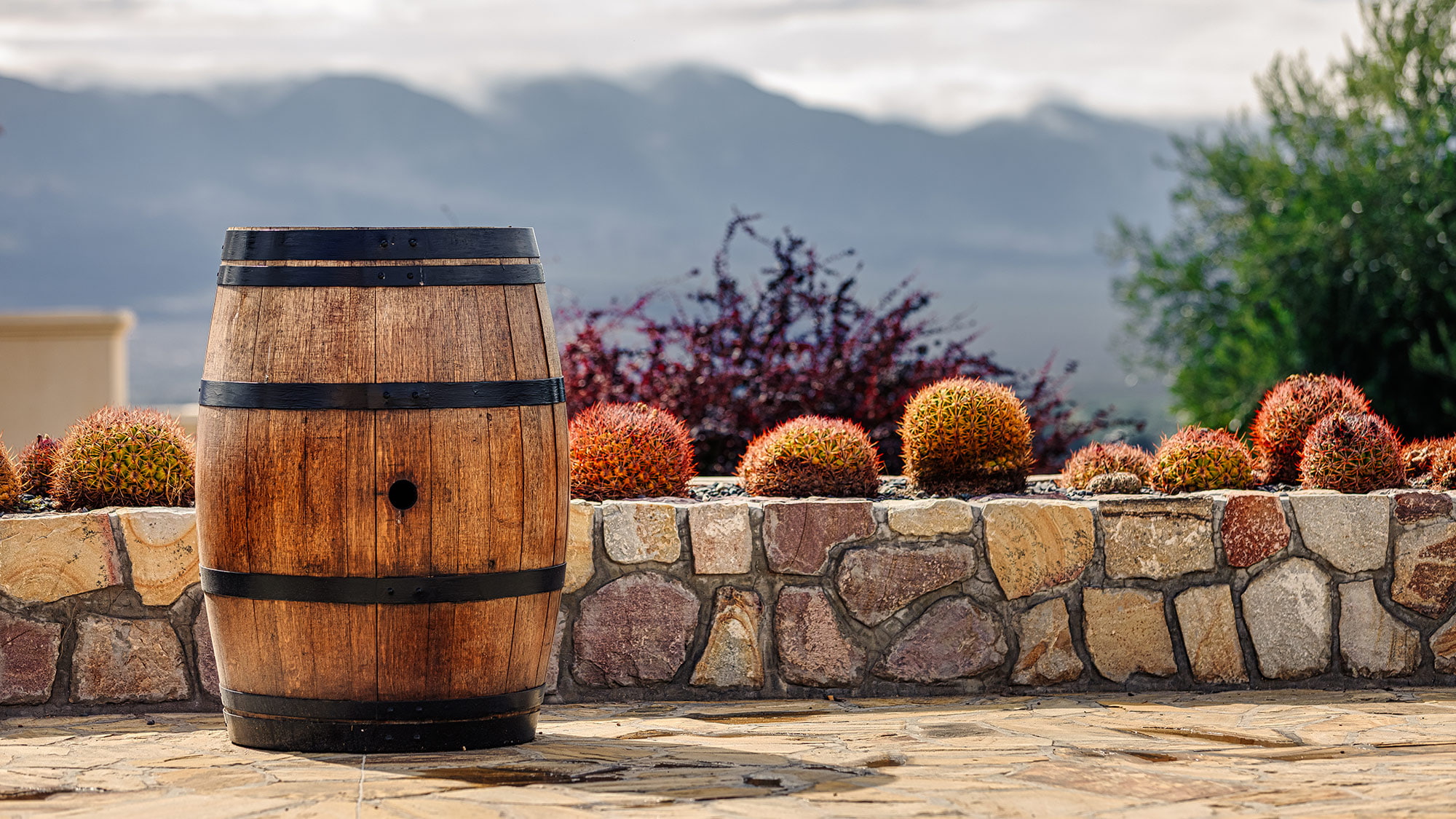 Wein, Ausbau, Keller