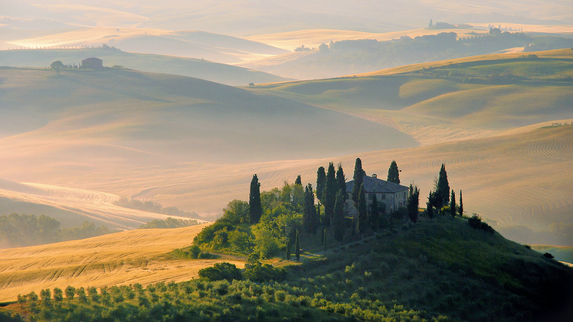 Italien, Toskana, Wein