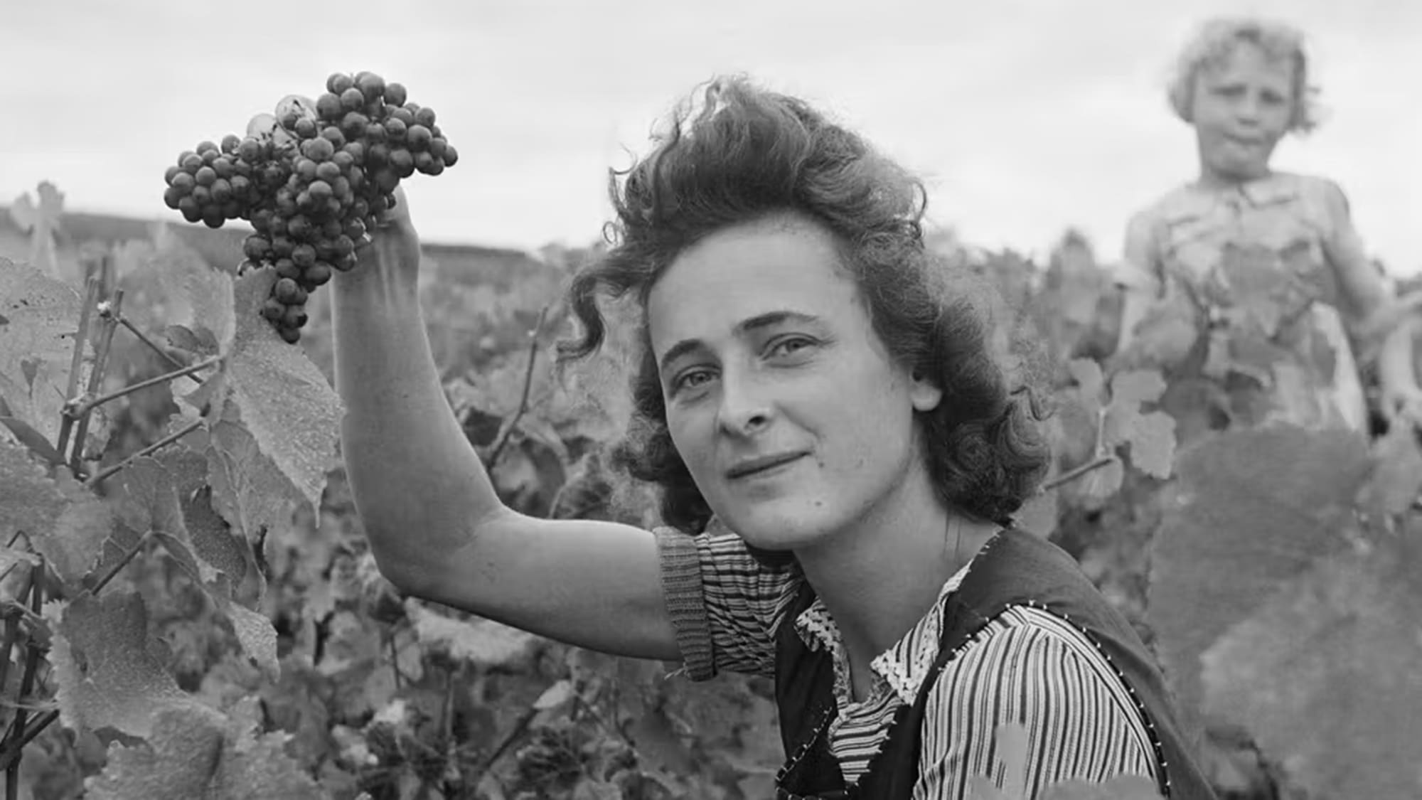 Frankreich, Champagner, Frauen