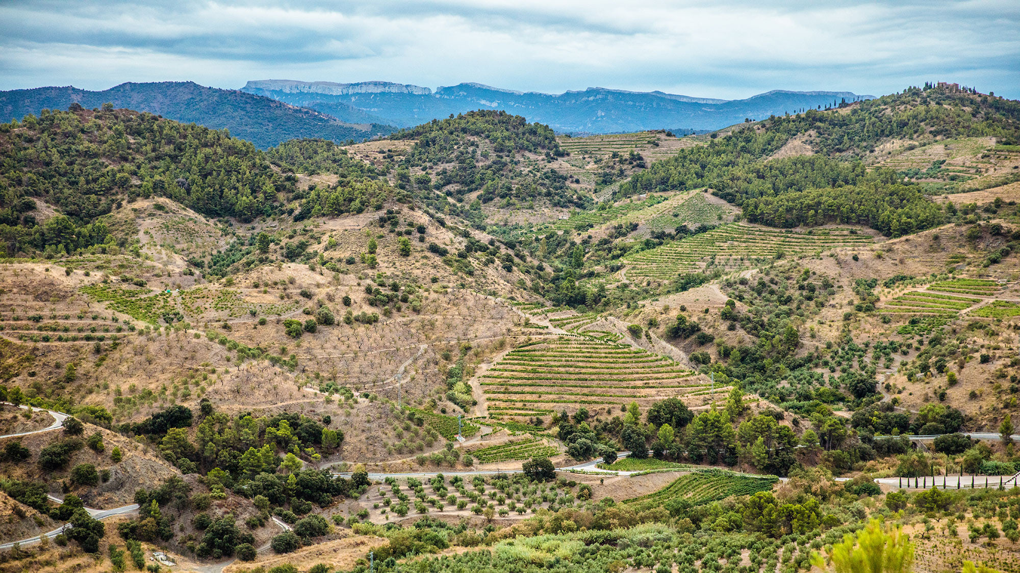 Schroffe Felsen und steile Terrassen im Priorat