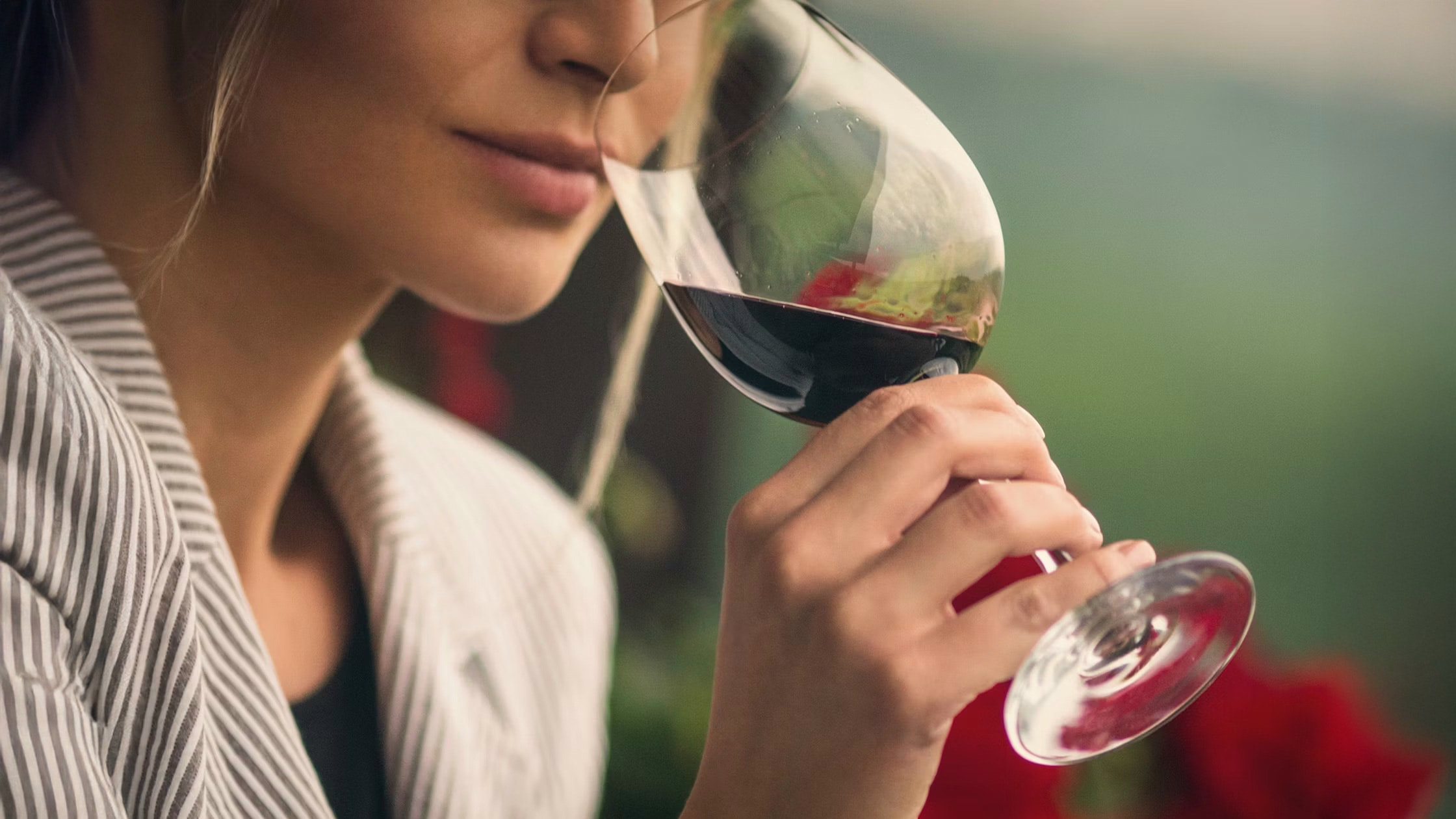 Wein, Korken, Wissen