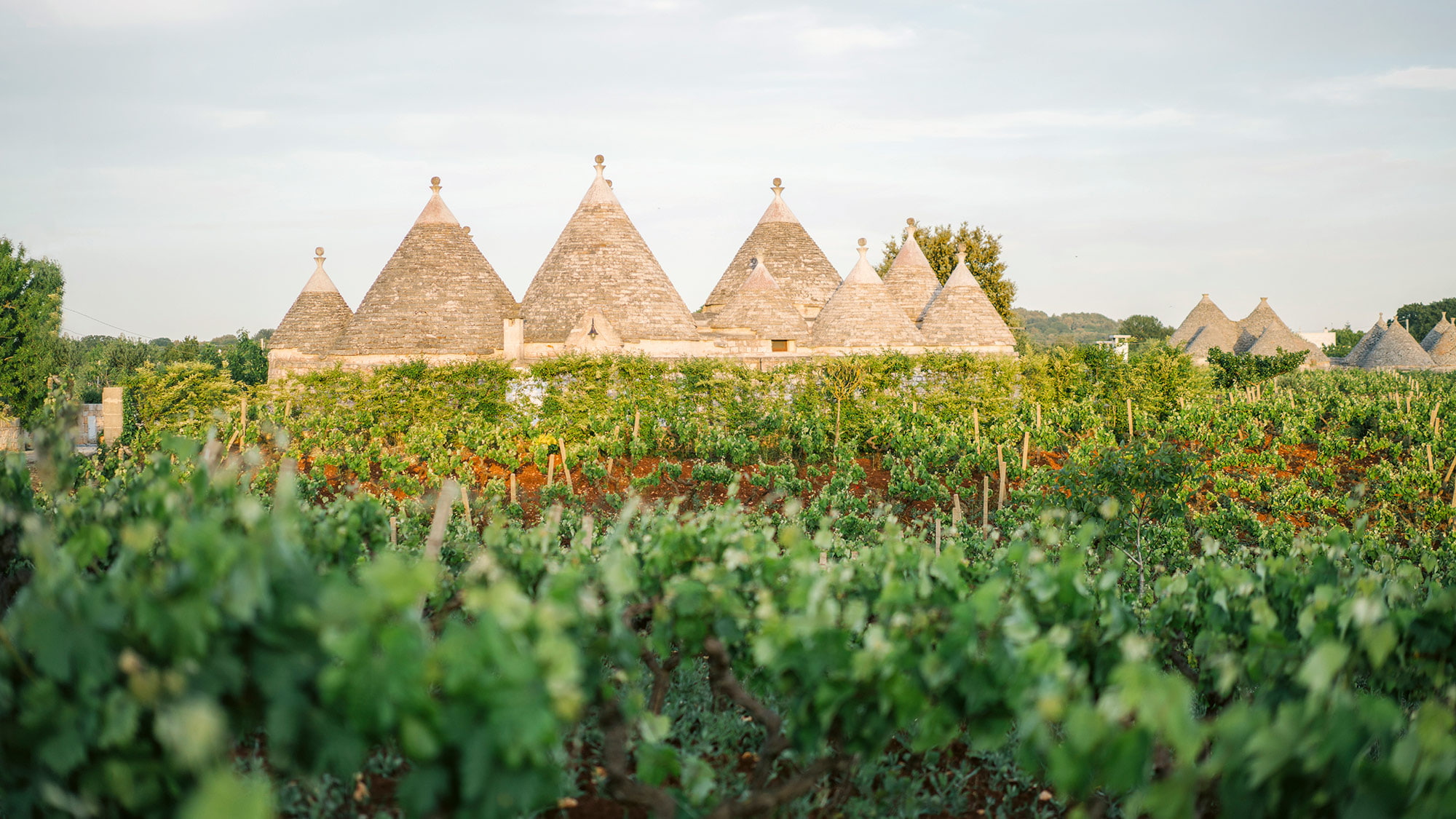 Apulische Trulli: Kleine Rundhäuser mit spitzen Steindächern