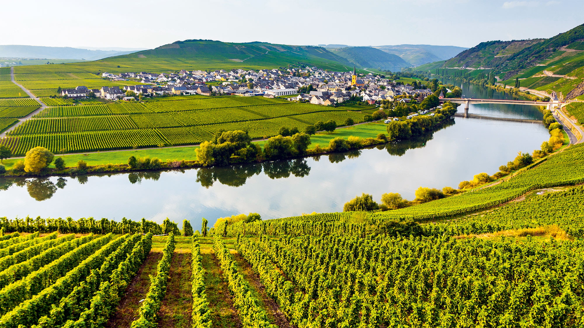 Moselschleife und Weinbau