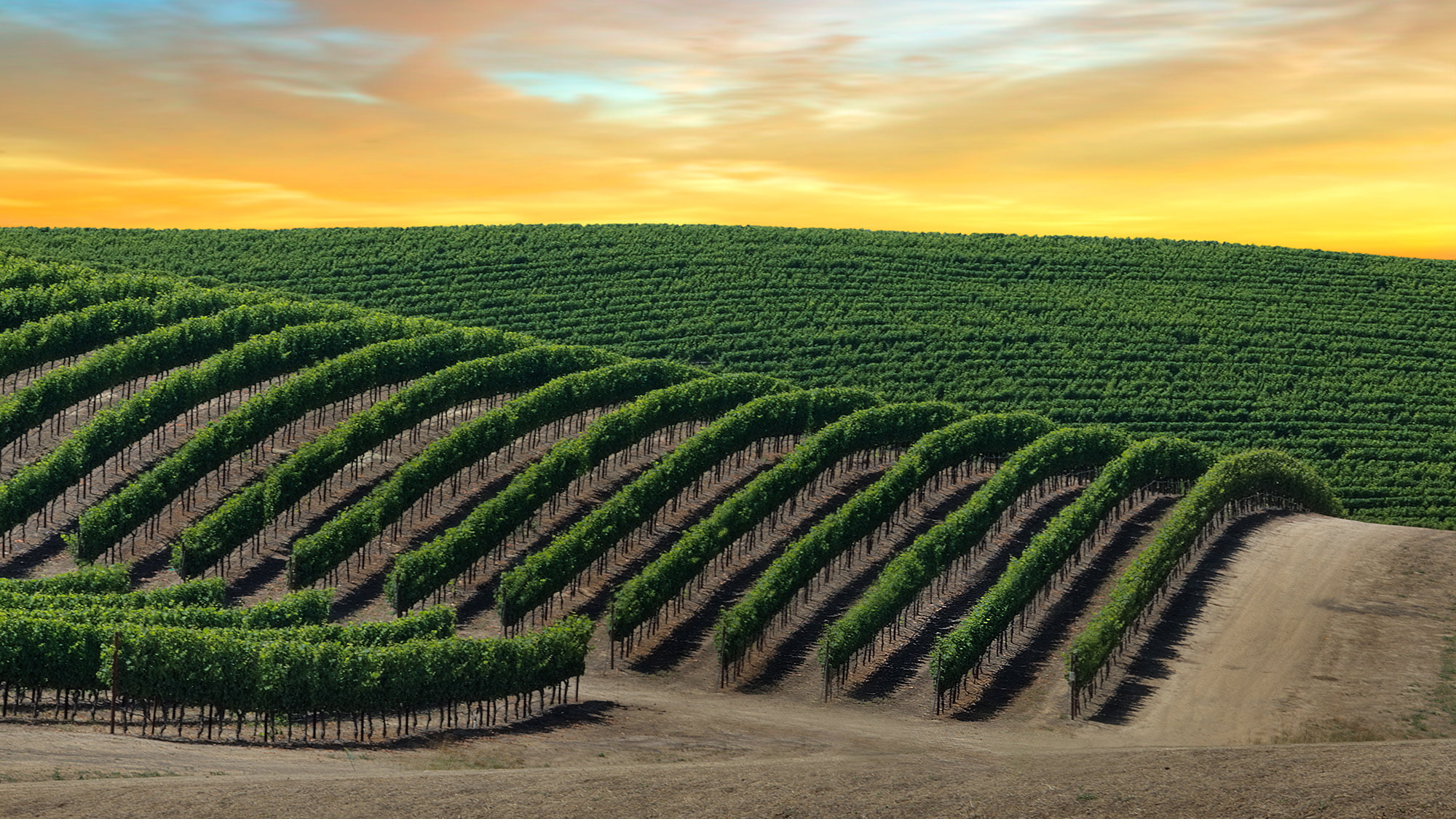 Napa Valley in ganzer Pracht