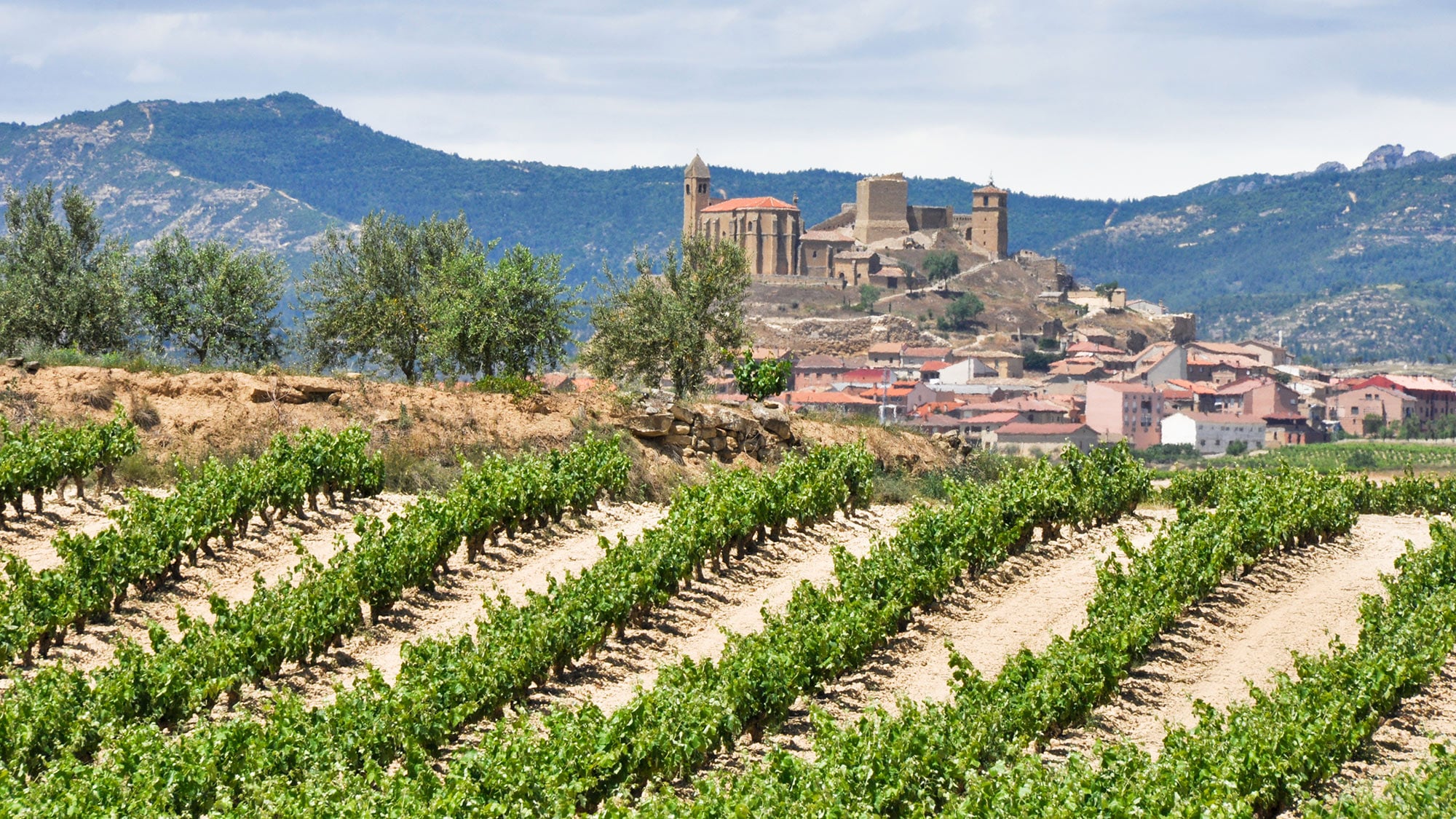 Weinbau in höchster Exzellenz im Rioja