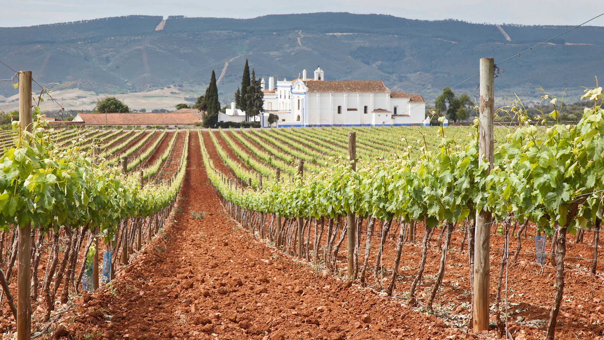 Sonnengetränkte Landschaften im Alentejo.