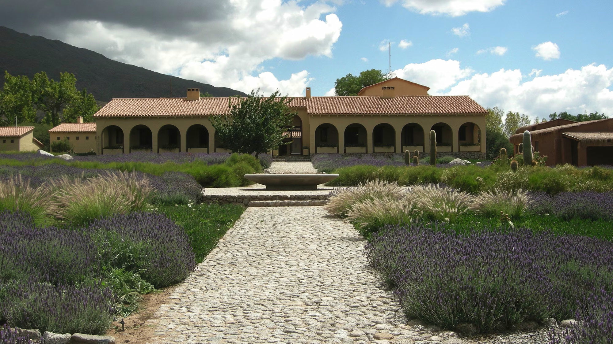 Argentinien, Höhenlage, Donald Hess, Malbec, Calchaquí-Tal