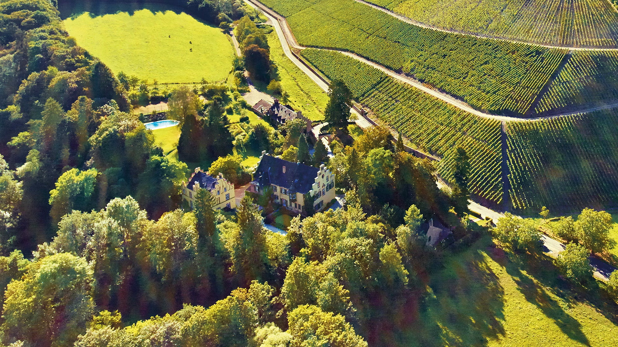 Riesling, Maximin Grünhaus, Ruwer, Mosel, Monopollagen